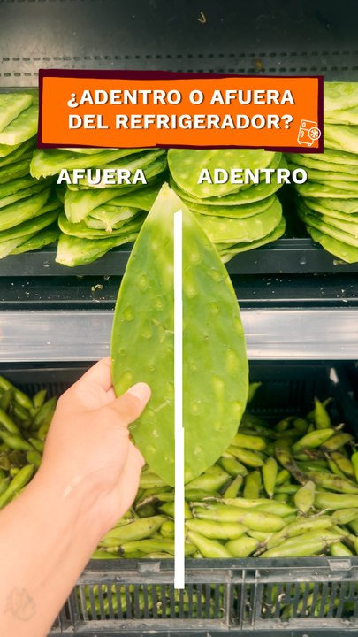 Frutas y verduras adentro o afuera del refrigerador II