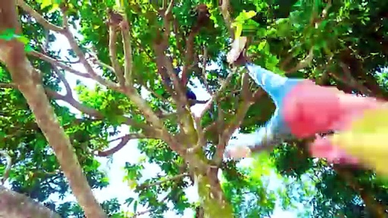 Shaktiman And Monkey Special Trending Funny Comedy Video 2024Amazing Comedy Video 2024 Episode 272