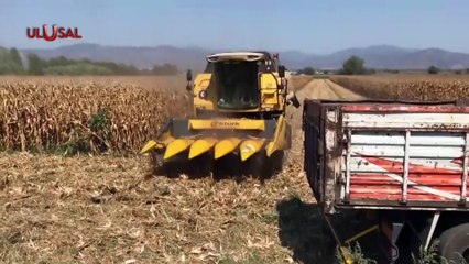 Vatan Partisi'nden hububat fiyatlarına tepki