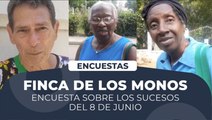 Finca de los monos. Encuesta sobre los sucesos del 8 de junio