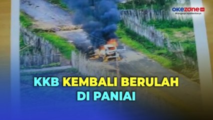 Teror! KKB Kembali Berulah Bakar Mobil dan Tembak Mati Sopir di Paniai