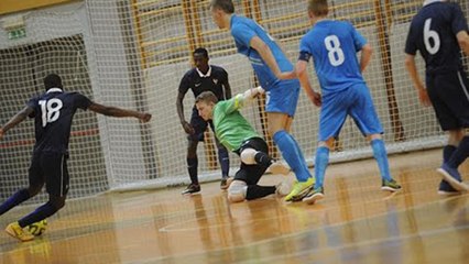 Slovénie-France (2-2 et 4-4), les buts