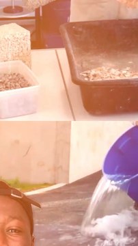 Abonne-toi pour suivre d’autres solutions positives ! @theimpactstory Source : Builders École d’ingénieurs #innovation #inventions #pave #coquillage #innondation #environnement