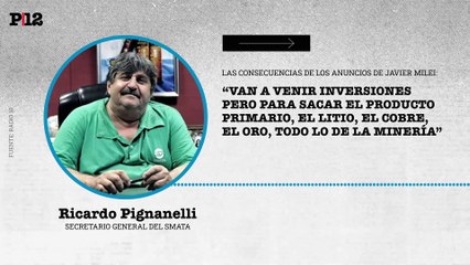 Ricardo Pignanelli: “Van a venir inversiones  pero para sacar el producto primario, el litio, el cobre,  el oro, todo lo de la minería”