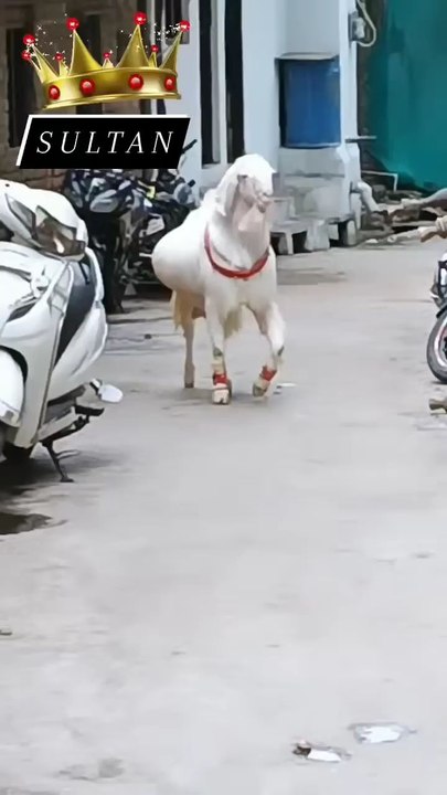 eid2024