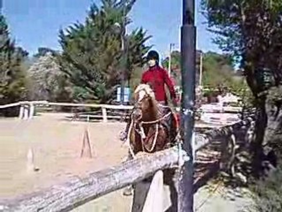 13 04 08 065