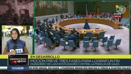Medida de alto al fuego llega tras 8 meses de genocidio israelí en Gaza