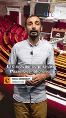 Dissolution : une cohabitation est-elle possible avec Jordan Bardella ou Marine Le Pen ?