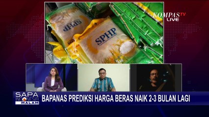 Kritik Pakar Pertanian IPB Soal Prediksi Harga Beras Naik 2-3 Bulan Lagi Karena Panen Berkurang