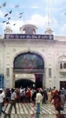 Waheguru Ji | Dhan Dhan Baba Deep Singh Ji | Shorts Video #waheguruji #shorts #videos