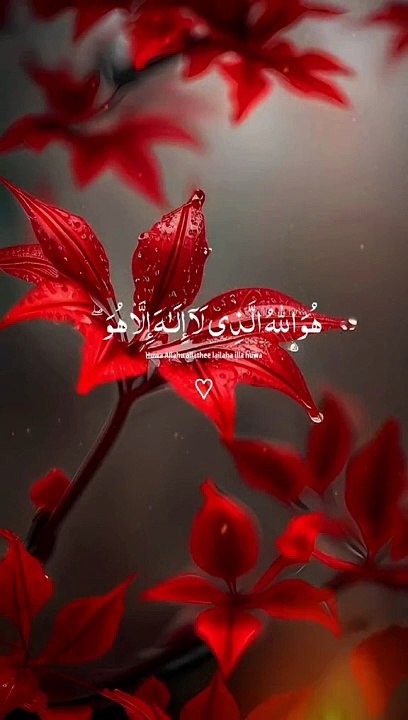 Emotional Tilawat e Quran