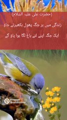 Aqwal e zareen in urdu inspirational quotes about love best urdu quotes allah quotes