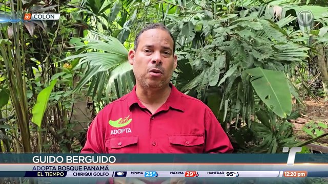 Cuestionan declaraciones del ministro Sabonge sobre proyecto Corredor del Caribe