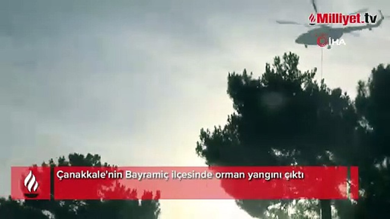 Çanakkale'de orman yangını! Müdahale sürüyor