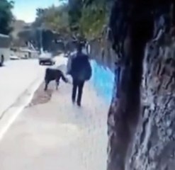 Potrinho é flagrado em ataques contra moradores de São Paulo; assista
