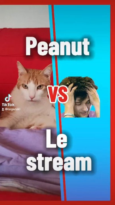 peanut vs le stream