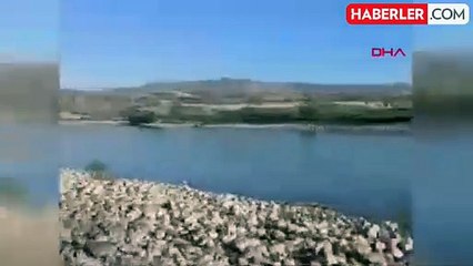 Elazığ'da kaybolan genç için arama çalışmaları devam ediyor