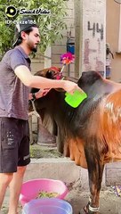 Do Not Add Water: The Water Was Hot#dailymotion #viral #reels