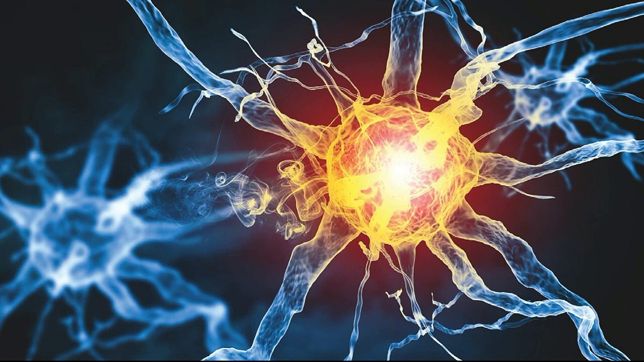 La vida después de la muerte puede ser inevitable.