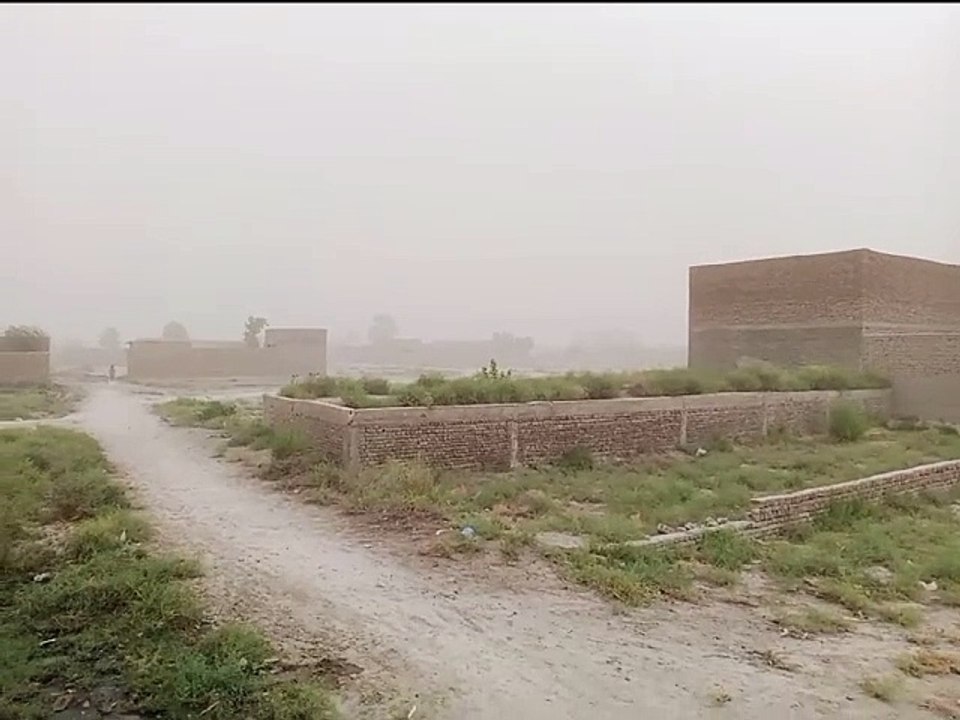 Rain video