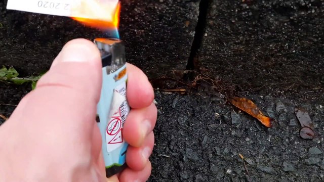 Leon Elektronik - Fackelt die Fahrkarte ab , Aus Wut Weil ich kein busfahrer bin. (Danke Söder).