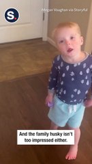 Husky and Toddler Really Want Military Dad to Stay Home