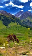 Breathtaking Place Hunza GB Pakistan