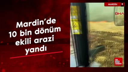 Mardin'de 10 bin dönüm ekili arazi yandı