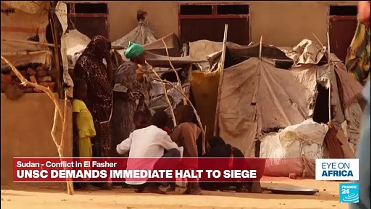 ‘The snipers are everywhere’: Witness recounts violence in Sudan's El Fasher