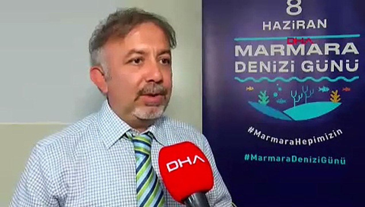 Bir siz eksiktiniz... Marmara Denizi istila altında: Silivri açıklarına kadar geldiler