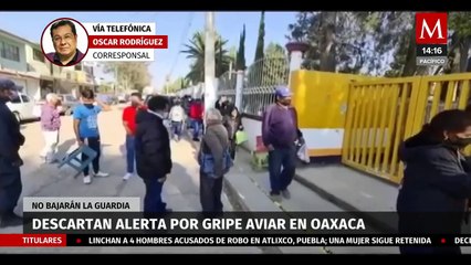 Descartan alerta de gripe aviar en Oaxaca, pero no bajarán la guardia