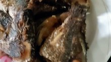 Hawaiian sunfish or tilapia.. fried fish