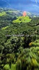 Surah An Nur Verse 35 ۞ ٱللَّهُ نُورُ ٱلسَّمَـٰوَٰتِ وَٱلْأَرْضِ ۚ مَثَلُ نُورِهِۦ كَمِشْكَوٰةٍۢ فِيهَا مِصْبَاحٌ ۖ ٱلْمِصْبَاحُ فِى زُجَاجَةٍ ۖ ٱلزُّجَاجَةُ كَأَنَّهَا كَوْكَبٌۭ دُرِّىٌّۭ يُوقَدُ مِن شَجَرَةٍۢ مُّبَـٰرَكَةٍۢ زَيْتُونَةٍۢ لَّا شَرْقِيَّةٍ