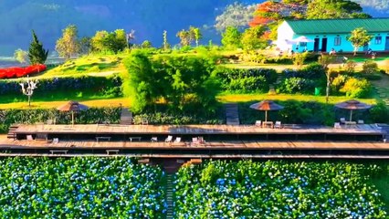 Đà Lạt xa nhau - Sáng tác Anh Bằng