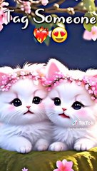 67b26628f936aecc88576151699fc59e