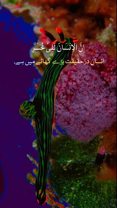 Surah al assar talawat