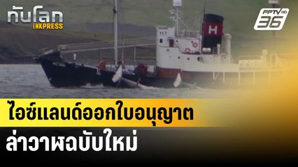 ไอซ์แลนด์ออกใบอนุญาตล่าวาฬฉบับใหม่ | ทันโลก EXPRESS | 12 มิ.ย. 67