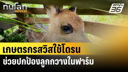 เกษตรกรสวิสใช้โดรนช่วยปกป้องลูกกวางในฟาร์ม | ทันโลก EXPRESS | 12 มิ.ย. 67