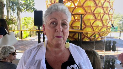 Queensland's Big Pineapple ready to welcome visitors