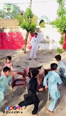 Chair Challenge | very funny |