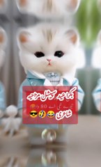 bakra eid special funny shairy