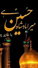 #حسین جنت دا بادشاہ ہے