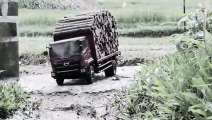 Truck with High level capabilities - Truck carrying wood (1)