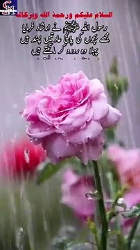 رسول اللہ ﷺ کو بچوں کی پانچ عادتیں پسند | | Bachon Ki Paanch Aadatain Pasand | #trending #viral