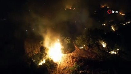 Tire’de çıkan yangında beş dönümlük zeytinlik alan yandı