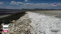 Así se ven más de 5 kilómetros de miles de peces muertos por la sequía en Chihuahua