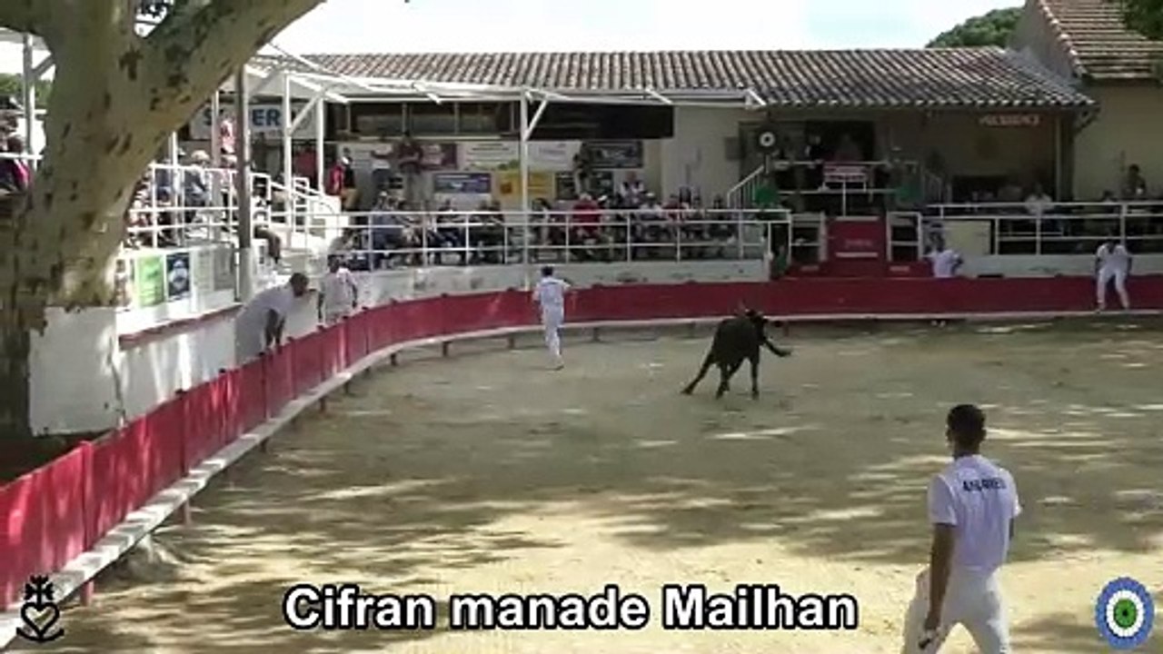 2024 05 19 Cifran