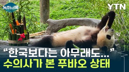 격리 2개월 만에 대중 공개...수의사가 본 푸바오 상태 [Y녹취록] / YTN