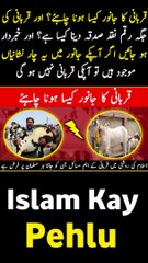 Qurbani ka janwar kaisa hona chahiyeh