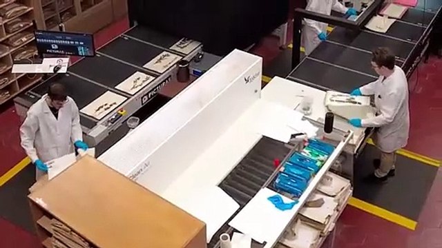 Dal Ginko al mirtillo di palute: le piante digitalizzate dell'Erbario del Museo di Storia naturale di Firenze